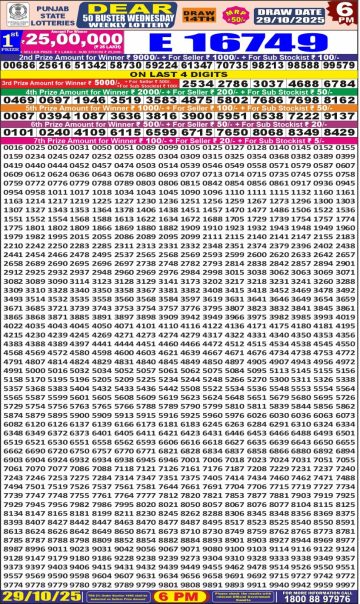 img 20251029 wa0042.jpg