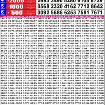 synced punjab result image on 2026 05 17
