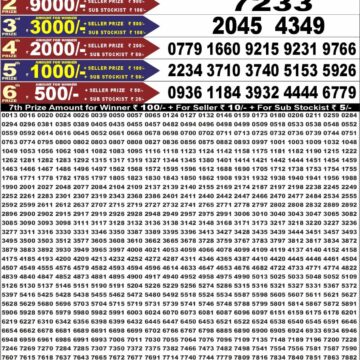 synced punjab result image on 2026 08 13