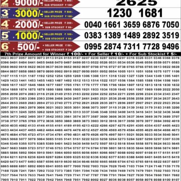 synced punjab result image on 2026 08 14