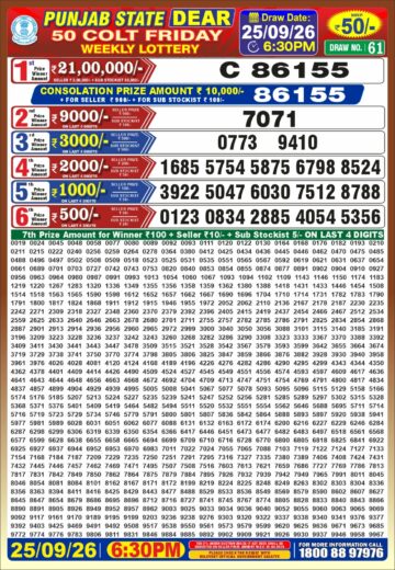 synced punjab result image on 2026 09 25