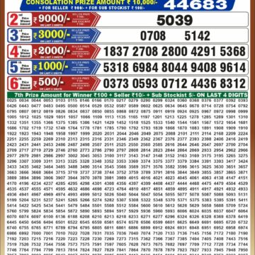synced punjab result image on 2026 10 13