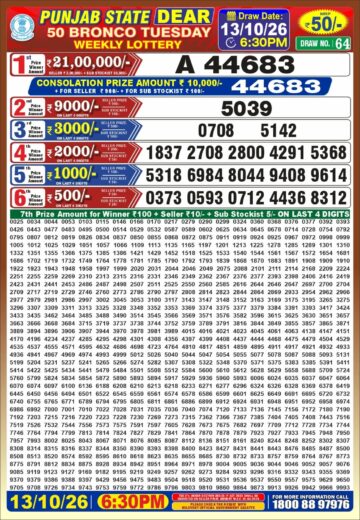 synced punjab result image on 2026 10 13